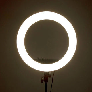 Ring Led Light Stand