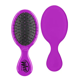 Wet Brush Mini Detangler