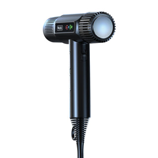 WAHL Vanquish Hair Dryer